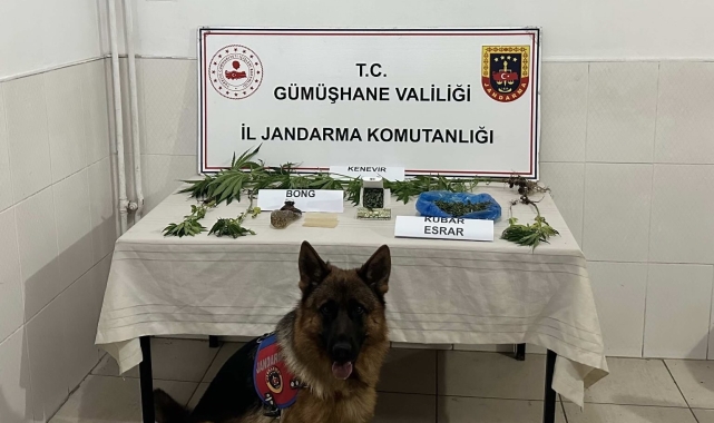 Gümüşhane'de Jandarma ekipleri aranan şahsı çatıda yakaladı