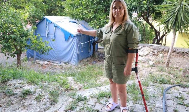 Gurbetçi kadının ilk misafirleri yaban domuzu sürüsü oldu