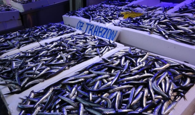 Hamside 400 bin tonluk av kotasına balıkçılardan tepki