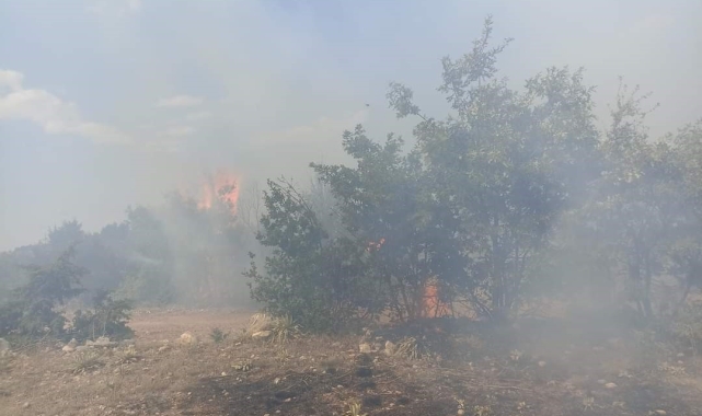 Han'da çıkan yangın büyümeden söndürüldü