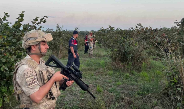 Hasat zamanı hırsızlara göz açtırılmıyor, komando birlikleri gece gündüz nöbet tutuyor