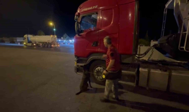 Hassas burun 'Barbara' 46 kilogram esrarı buldu