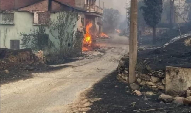 Hayvanları orman yangınında telef olan vatandaşın feryadı yürek dağladı