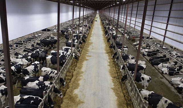 HAYVANSAL ÜRETİM, BESİ OTB’LERLE GÜÇLENECEK!