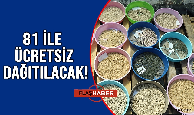 HAZIRLIKLAR BAŞLADI!