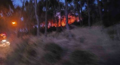 Heybeliada'da ormanlık alanda yangın