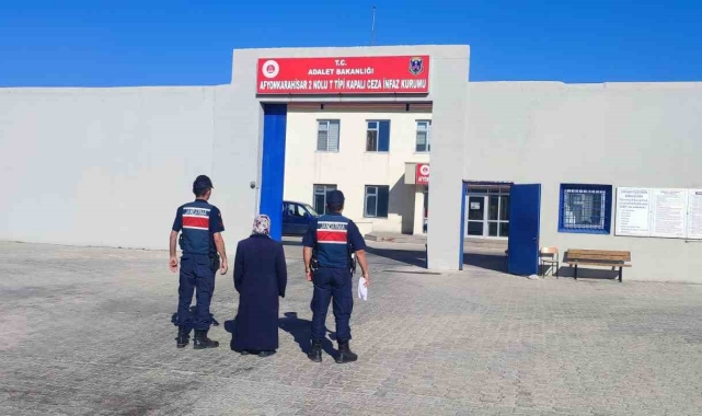 Hırsızlık suçundan aranan şahsı jandarma yakaladı