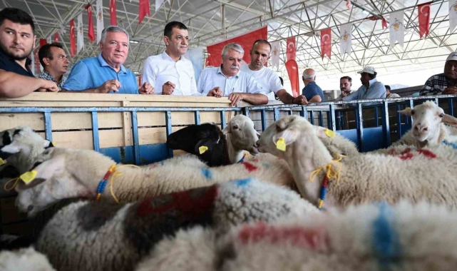 Honaz Belediyesi kadın üreticilerine koyun desteği verildi
