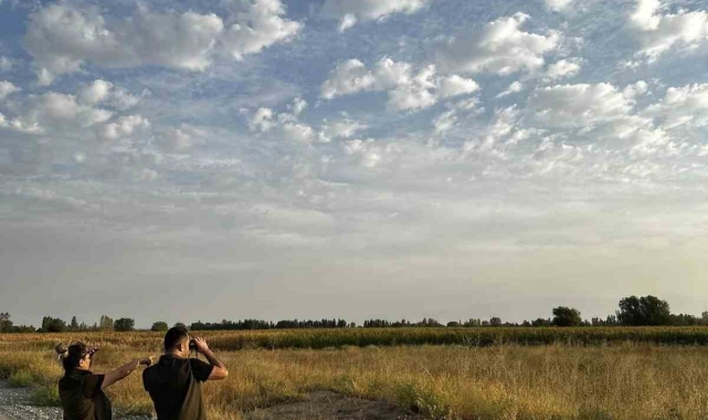 Iğdır'da doğa koruma faaliyetlerine devam ediliyor