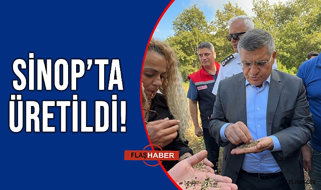 İLK HASAT YAPILDI!