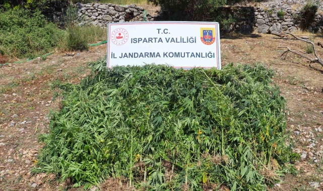 Isparta'da uyuşturucu operasyonu: Çok sayıda malzeme ele geçirildi