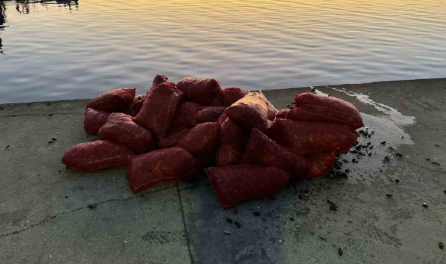 İstanbul Üsküdar'da 1 ton kaçak midye ele geçirildi