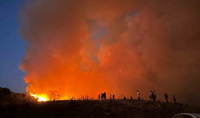 İzmir'deki orman yangını 10 katlı apartmana sıçradı