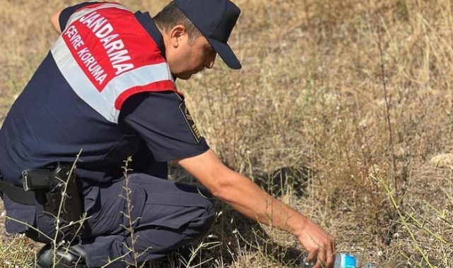 Jandarma ekipleri minik kaplumbağaya yardım etti