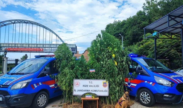 Jandarmadan Temmuz ayı bilançosu