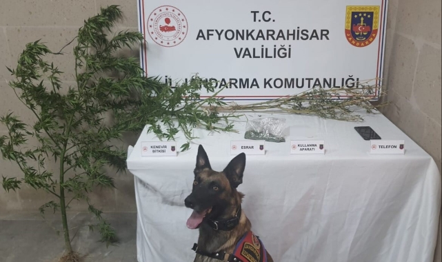 Jandarmadan uyuşturucuya geçit yok