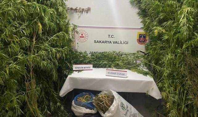 Jandarmadan uyuşturucuya geçit yok