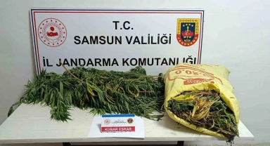 Jandarmaya 12 kilo esrarla yakalanan kadın tutuklandı