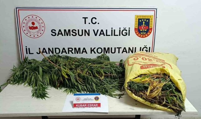 Jandarmaya 12 kilo esrarla yakalanan kadın tutuklandı