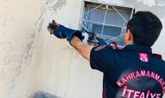 Kahramanmaraş'ta kedi sıkıştığı yerden kurtarıldı