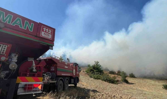 Kahramanmaraş'ta orman yangını