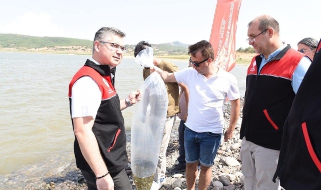 Kapıdağ'da bulunan gölete 50 bin sazan balığı salındı
