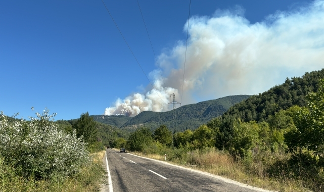 Karabük'te ormanlık alanda çıkan yangına müdahale ediliyor