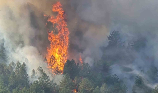 Karabük'teki yangın devam ediyor