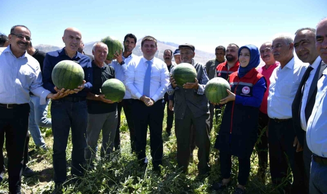 Karaman'da karpuz hasadı başladı