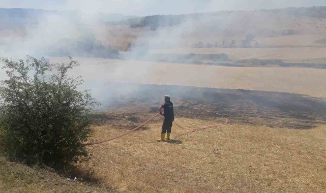 Kastamonu'da çıkan arazi yangınında 2 dekar alan zarar gördü