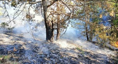 Kastamonu'da çıkan orman yangını büyümeden söndürüldü