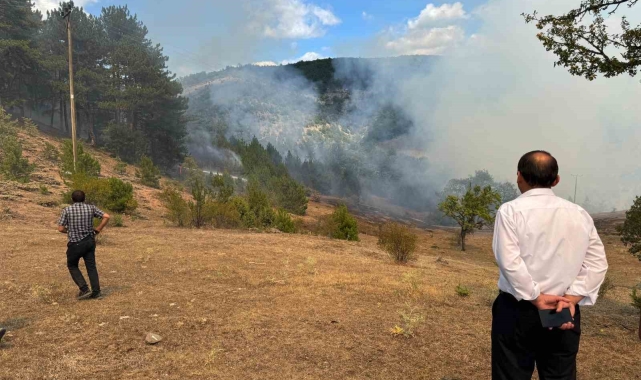 Kastamonu'daki orman yangını söndürüldü