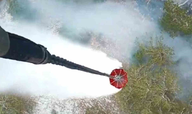 Kazdağı Milli Parkı'nda orman yangını