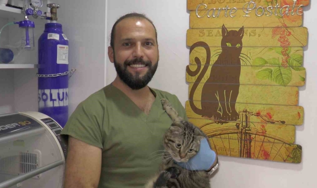 "Kedi virüsü gebeliği sonlandırabilir"