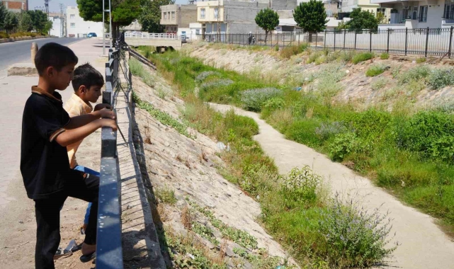 Kilis'te temizlenmeyen kanal boyu deresi tehlike saçıyor