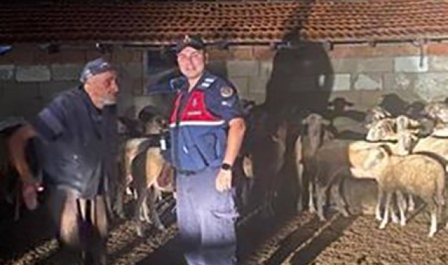 Kırklareli'nde kaybolan koyunlar bulundu