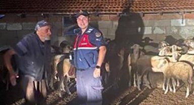 Kırklareli'nde kaybolan koyunlar bulundu