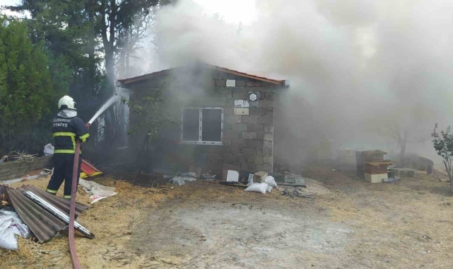 Kırklareli'nde yangından arılar da etkilendi