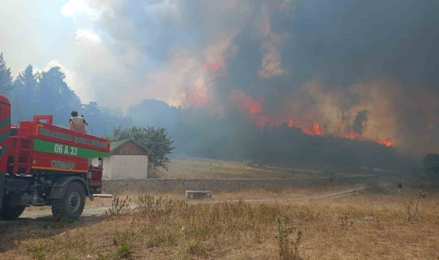 Kızılcahamam'daki yangının tanığı: "Birden kıvılcım geldi, çok korktum"