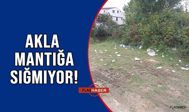 KONTEYNER VAR ÇÖP ATAN YOK!