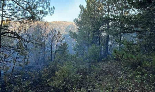Konya'daki orman yangınında 1 kişi gözaltına alındı