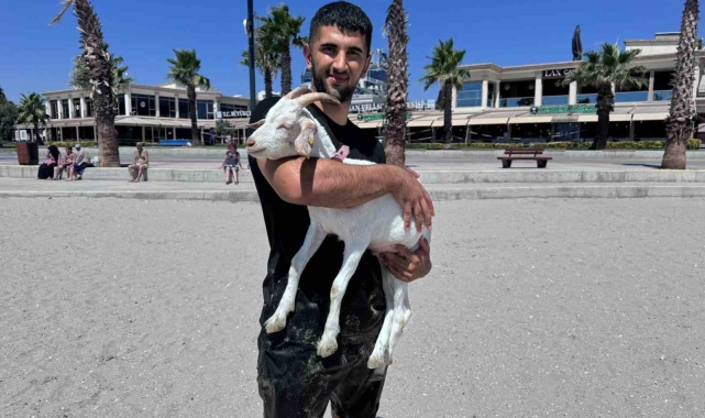Kurban Bayramı'ndan bu yana baktığı keçiyi evcilleştirdi