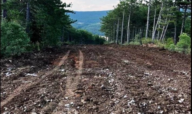 Kütahya'da orman yangınları ile mücadele çalışmaları