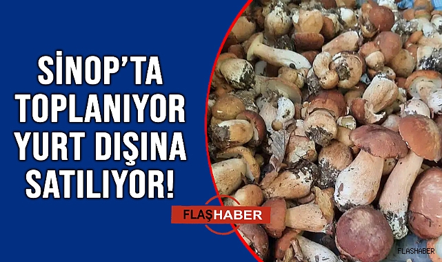 LÜKS LOKANTALARIN MUTFAKLARINI SÜSLÜYOR!