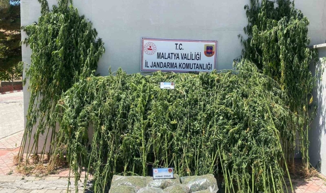 Malatya'da uyuşturucu operasyonu