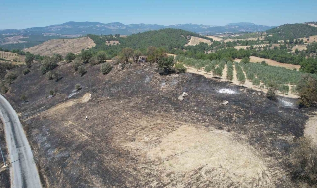 Manisa'daki orman yangını kontrol altında