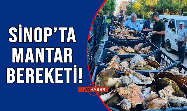 MANTAR AVCILARI İŞ BAŞINDA!