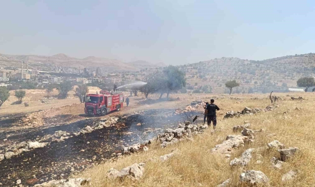 Mardin'de ormanlık alanda çıkan yangın söndürüldü