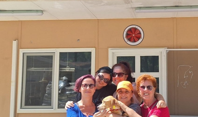 Marmaris'te 7 ayda 157 patili dost yeni yuvasına kavuştu