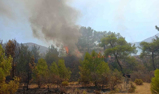 Marmaris'te orman yangını